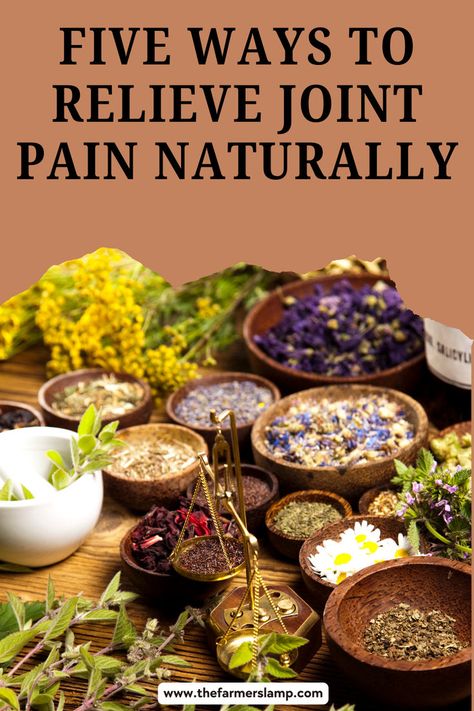 Ease joint discomfort with our guide on Five Ways to Relieve Joint Pain Naturally! Explore natural methods such as lifestyle adjustments, herbal supplements, and gentle exercises to help alleviate pain. Join us in finding holistic solutions for healthier joints Herbal Supplements, 5 Ways, Nutrition, Let Me