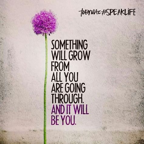 Something will grow from all you are going through and it will be you. | Learn from experiences. Citation Encouragement, Citation Force, Motiverende Quotes, Speak Life, Good Morning Inspirational Quotes, Quotable Quotes, Quotes About Strength, Encouragement Quotes, Words Of Encouragement