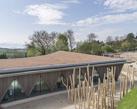 Public Pavilion of New Zoological Park La Garenne,© Matthieu Gafsou Wildlife Pavilion, Public Pavilion, Pavilion Architecture, Timber Construction, Roof Structure, Outside World, Contest Design, Timber Frame, Gazebo