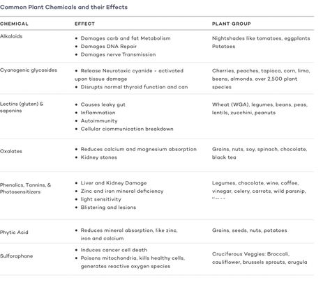 The Lion Diet Guide: Benefits, Risks, and Tips - Dr. Robert Kiltz Lion Diet, Metabolic Reset, Fertility Doctor, Natural Pesticides, American Diet, Carnivore Diet, Elimination Diet, Diet Guide, Inflammatory Foods