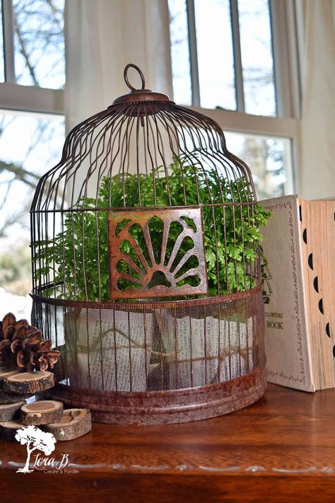 Vintage birdcages have classic architectural appeal. Learn 12 creative ways to decorate them for winter in your home decor. Birdcage Decor Ideas, Diy Birdfeeders, Bird Cage Ideas, Hamster Cage Ideas, Vintage Bird Cage Decor, Birdcage Decor, Unique Birdhouses, Birdhouse Projects, Make A Bird Feeder