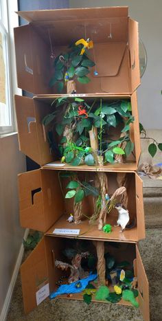 Rainforest layers Model Shoe Box Rainforest Project, Rainforest Project Ideas, Rainforest Ecosystem Project Ideas, Ecosystem Diorama Project, Whale Diorama, Biome Project Ideas, Rainforest Model, Animal Habitat Project, Rainforest Diorama