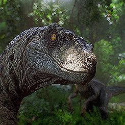 Velociraptor Jurassic Park, Jurassic Park Raptor, Jurassic World Wallpaper, Jurassic Movies, Jurassic Park Film, Jurassic Park 1993, Jurassic Park Movie, Jurrasic Park, Michael Crichton