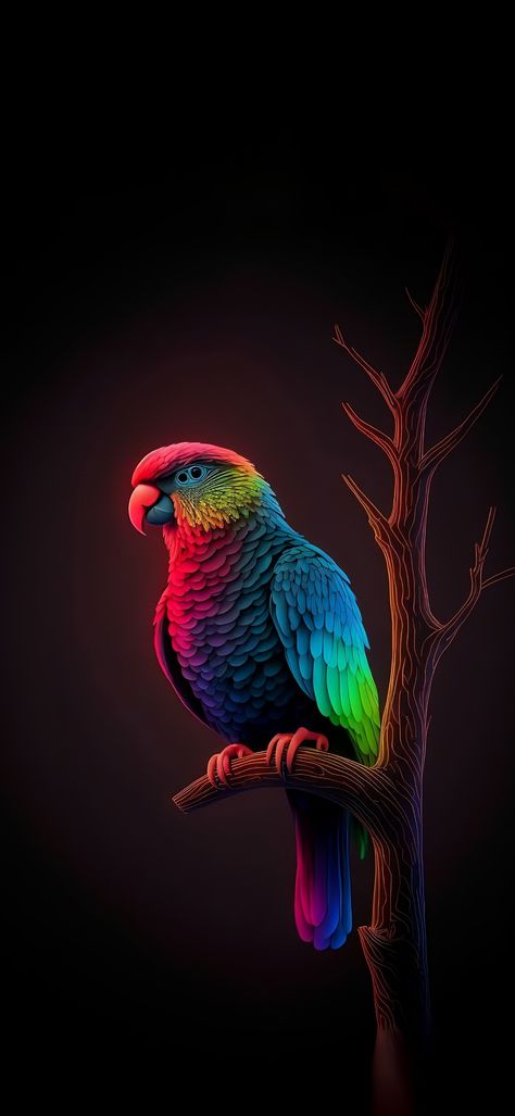 Parrot Wallpaper, Iphone Wallpaper Lights, Android Wallpaper Art, Iphone Wallpaper Stills, Iphone Wallpaper Video, Education Technology, Iphone Wallpaper Hd Nature, Android Wallpaper Flowers, Lovely Flowers Wallpaper