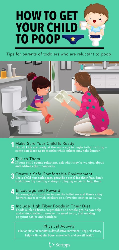 Boy Potty Training Tips, Potty Training Visuals, Potty Training Schedule, Potty Training Guide, Learning Centers Preschool, Potty Training Girls, Potty Training Seats, Potty Training Boys, Toddler Potty Training