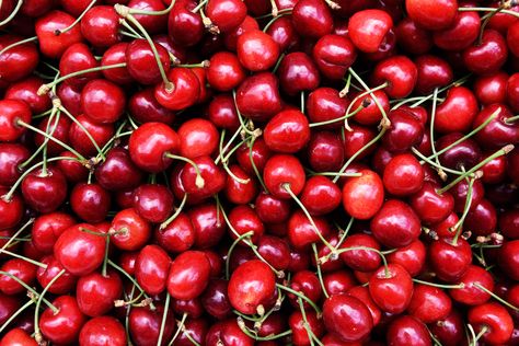 Although most cherries are safe to eat, it can be easy to confuse fruits and plants in the wild. Avoid eating wild cherries and buy them in the store instead. Black Cherry Fruit, Black Cherry Tree, Cherry Plant, Cherry Picking, Wild Cherry, Poisonous Plants, Mother Earth News, Cherry Fruit, Wild Plants