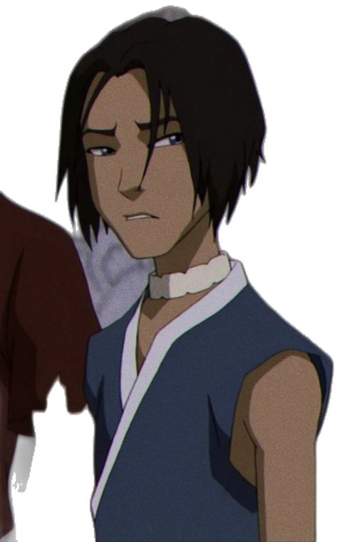 Sokka Hair, Avatar Sokka, Hair Down, Down Hairstyles, Avatar, Hair