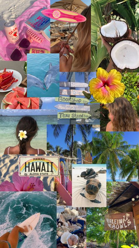 coconut girl 🥥 Coconut Girl Collage, Hawaiian Aesthetic, Coconut Girl, Hawaii, Coconut, Collage, Iphone