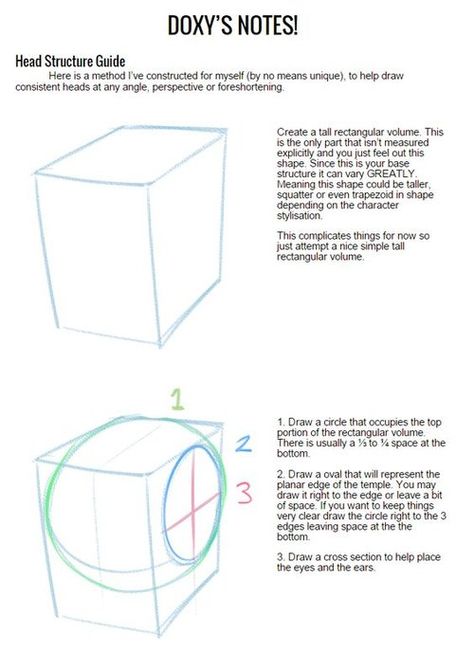 Doxy Tutorial, Head Structure Drawing, Human Gesture, Head Structure, Ayami Kojima, Illustration Tips, Head Anatomy, Drawing Anatomy, Head Drawing