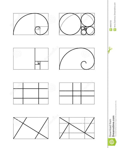 Dynamic Composition Illustration, Harmony Composition, Math Circle, Golden Ratio Art, Golden Ratio In Design, Golden Ratio Logo, Harmony Design, Dynamic Lines, Dynamic Composition