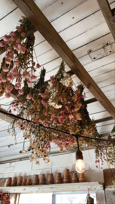 Dried floral bouquets, hung in bunches from an antique ladder in the potting shed, lights strung from the ceiling, beautiful fall decor and ambience. Stand out, unique style and business. Ladder Lights Hanging, Hanging Ladder From Ceiling, Shed Lights, Wooden Ladder Decor, Dried Floral Decor, Antique Ladder, Hanging Ladder, Flower Ceiling, Old Ladder