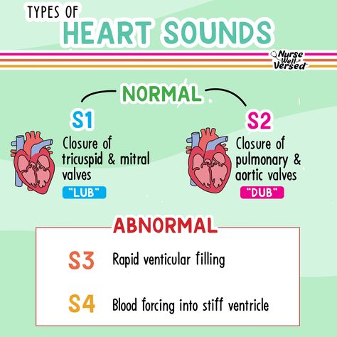 🫀 Types of HEART SOUNDS  🔊 S1 (Lub): Start of systole - mitral and tricuspid valves close.  🔊 S2 (Dub): Start of diastole - aortic and pulmonic valves close.  🔊 S3: Early diastole, rapid ventricular filling.  🔊 S4: Late diastole, blood forcing into stiff ventricle.  Understanding these sounds is crucial for accurate patient assessments. Bookmark this for your study sessions and refer back before clinicals! S1 And S2 Heart Sounds Nursing, S1 S2 Heart Sounds, Cardiac Medications Nursing, Systole And Diastole, Types Of Heart, Pathophysiology Nursing, Medical Heart, Medical Terminology Study, Medical Assistant Student