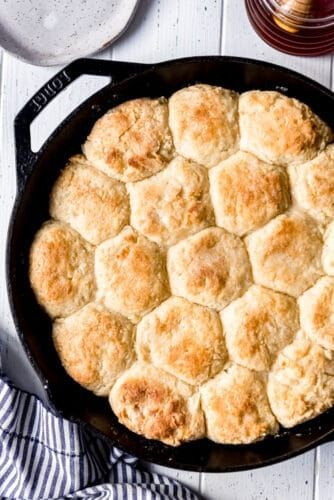 Angel Biscuits | The Recipe Critic | Bloglovin’ Copycat Red Lobster, Angel Biscuits, Red Lobster Cheddar Bay Biscuits, Southern Biscuits, How To Make Buttermilk, Fluffy Biscuits, Cheddar Bay Biscuits, The Recipe Critic, Recipe Critic