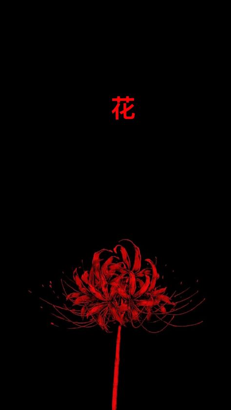 Spider Lilly Wallpapers 4k, Tokyo Ghoul Red Flower, Red Spider Lily Wallpaper Iphone, Red Lily Spider, Lycoris Rouge, Black Spider Lily, Red Wallpapers Aesthetic, Red Spider Lily Drawing, Red Spider Lily Aesthetic