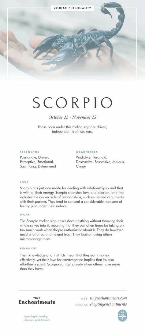 Scorpio Mythology, Scorpio Meaning, Scorpio Personality, Scorpio Symbol, All About Scorpio, Astrology Scorpio, Scorpio Traits, Scorpio Zodiac Sign, Scorpio Love