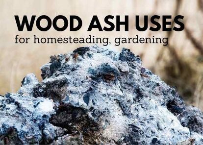 What can wood ash be used for? Don't dump your ashes after a fire because there are several uses for wood ash. You can reuse wood ash for your garden and even for cleaning your home. Here are several wood stove ash uses for your homestead.One about 1 to 2 percent of American households use wood as a primary heat source, but that amounts to over 2 million households.Even if you don't use wood for your primary heat source, many families supplement with wood or burn in their backyards.… How To Store Tomatoes, Yard Maintenance, Pet Smell, Wood Ash, Dawn Dish Soap, Organic Remedy, Garden Yard Ideas, Soap Recipes, Wood Glue