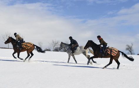 Groupies Aesthetic, Horse Riding In Snow, Country Best Friends, Snow Trails, Horses In Snow, Faster Horses, Winter Horse, Deep Snow, Horse Care Tips