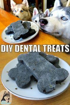 DIY Dental Treats for dogs Dental Treats For Dogs, Homemade Dog Cookies, Dog Dental Treats, Dog Dental Chews, Diy Dog Food, Healthy Dog Treats Homemade, Treats For Dogs, Dental Treats, Diy Dog Treats