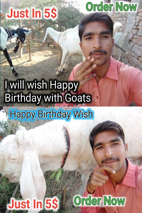 wish and sing happy birthday song with goats My Happy Birthday, Sister Happy Birthday, Wish Happy Birthday, Birthday Surprises, Client Satisfaction, Happy Birthday Song, Birthday Wish, Singing Happy Birthday, Birthday Songs