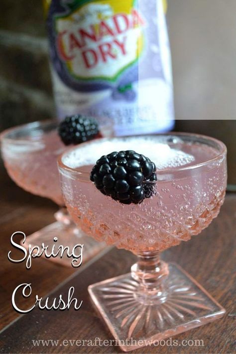 Spring Crush Cocktail #ad   #BlackberryAffair #CollectiveBias A refreshing drink with a blackberry sparkling beverage. Mother's Day, brunch, BBQs, Memorial Day mock tail. Mother's Day Brunch, Spring Cocktails, Brunch Cocktails, Mothers Day Brunch, Drink Specials, Signature Drinks, Ginger Ale, Party Drinks, Key Lime