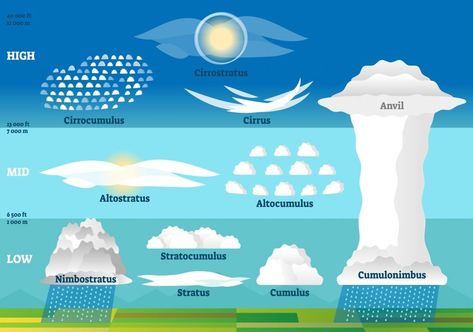 How are clouds formed? Water Cycle Experiment, Cloud Types, Marine Images, World Wetlands Day, Cloud Type, All About Water, Beach Clean Up, Insect Hotel, Holiday Program