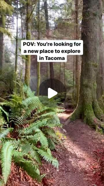 Metro Parks Tacoma on Instagram: "Which path are you going to explore for the #TacomaTrailsChallenge (May 25-June 16)? Registration is FREE. Track your progress, earn badges, and win prizes! 
-
List of locations: 
#1 Point Defiance Park
#2 Titlow Park
#3 Ruston Way by Dickman Mill Park
#4 Browns Point Lighthouse Park
#5 Oak Tree Park
#6 Swan Creek Park
#7 Point Defiance Promenade by the Marina
-
Presented by @virginiamasonfranciscanhealth
Supported by @rei coop @molinahealth @cocacola @tacomapiercecountyhealth
.
.
.
#TacomaTrailsChallenge #metroparkstacoma
#tacomaphotographer #tacomaphotography #tacoma253 #tacomawashington #pointdefiance #tacomaphotographer #tacomaphotography #tacomasunset #ilovetacoma #tacomawa #tacomasummer #exploretacoma" Point Defiance Park, Rei Coop, Track Your Progress, Tacoma Washington, 25 June, Tacoma Wa, Win Prizes, June 16, Oak Tree