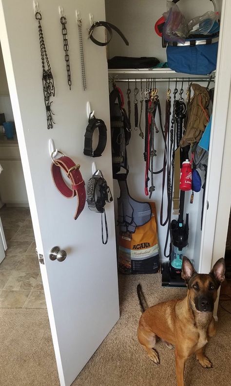 Dog Fostering Room, Dog Wardrobe Closet, Dog Gear Wall, Dog Gear Organization, Dog Gear Storage, Dog Clothes Storage, Dog Training Room, Dog Stuff Organization, Dog Closet