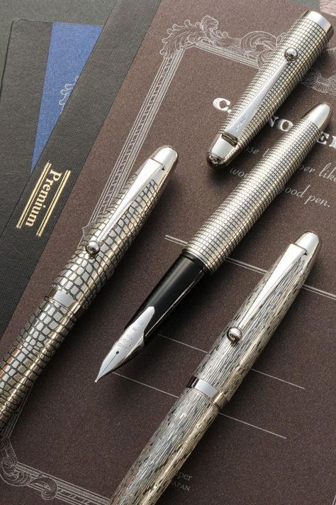 Japanese Fountain, Pilot Fountain Pen, Silver Pen, Pen Collection, Pen Nib, Writing Tools, Fountain Pens, Raw Silk, Fountain Pen