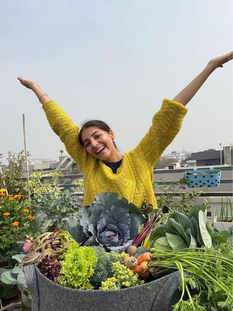 With 200 Plants, I Grow All Vegetables For My Family On Our Terrace Terrace Vegetable Garden, Terraced Vegetable Garden, Lemon Plant, Plants At Home, Easy Vegetables To Grow, Easy Plants To Grow, Variety Of Fruits, Wheat Grass, Growing Fruit