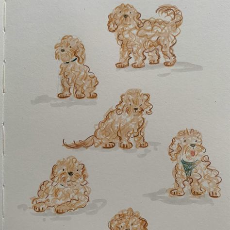 Goldendoodle Sketch Simple, Goldendoodle Cartoon Drawing, Simple Dog Doodle, Golden Doodle Embroidery, Cockapoo Sketch, Christmas Drawing Sketch, Golden Doodle Illustration, Golden Doodle Cartoon, Cavapoo Drawing