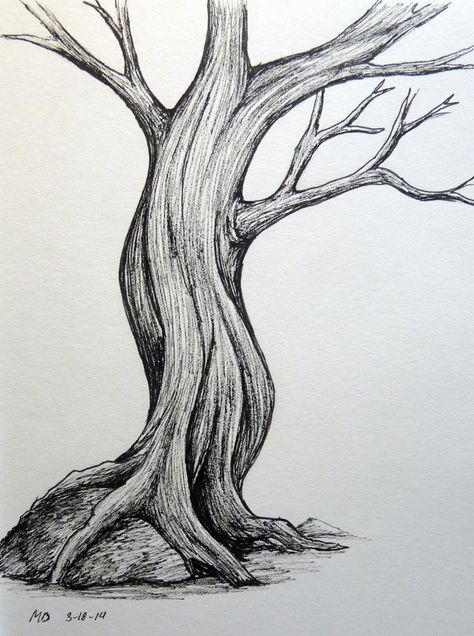 Big Tree Drawing, Tree Drawing Simple, Tree Drawings, Pencil Trees, Simple Tree, Tree Sketches, Tree Drawings Pencil, Background Drawing, Tree Illustration