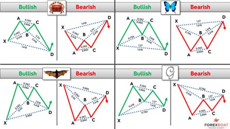 How to Trade Harmonic Patterns?    With regular practice, traders can understand the Harmonic patterns and spot them conveniently through the Fib tools. As stated in the previous chapters, the common Harmonic patterns are essentially the 5 point patterns i.e. Gartley, Crab, Butterfly, Cypher,... How To Trade Harmonic Patterns - Presentation #5 https://slicktrade.net/how-to-trade-harmonic-patterns-presentation-5/  SlickTrade Academy - Nadex and Forex - Online Trading Academy Forex Patterns, Harmonic Pattern, Technical Trading, Stock Chart Patterns, Learn Forex Trading, Intraday Trading, Chart Pattern, Trading Courses, Trading Charts