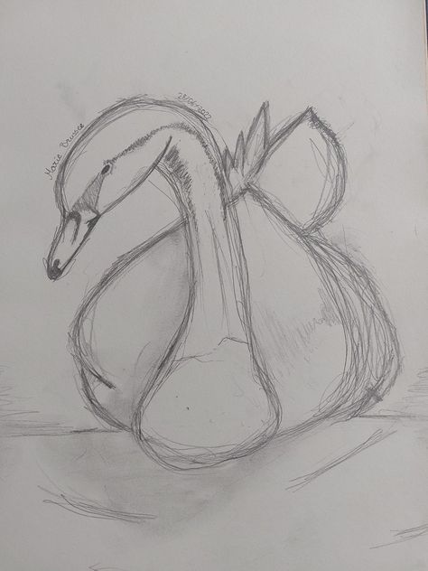 Swan Lake Drawing, Swan Sketch, Swan Drawing, Ballerina Drawing, Gacha Online, Tears Art, Swans Art, Mute Swan, Beautiful Swan