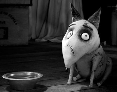 Frankenweenie I Mess Up Everything, Stop Motion Aesthetic, Franken Weenie, Motion Aesthetic, Tim Burton Coraline, Directed By Tim Burton, Tim Burton Characters, Best Halloween Movies, Tim Burton Films