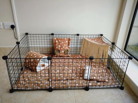 Rabbit Cage Indoor, Indoor Guinea Pig Cage, Diy Bunny Cage, Rabbit Farming, Diy Rabbit Cage, Indoor Rabbit Cage, Diy Guinea Pig Cage, Guinea Pig Diy, Guinea Pig Accessories