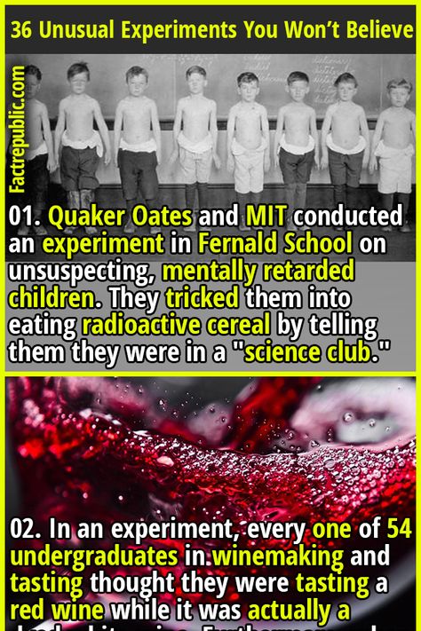 Funny History Facts, Weird Things People Do, Funny Weird Facts, Experiment Science, Human Body Science, Epic Facts, Wierd Facts, Useless Knowledge, Fact Republic