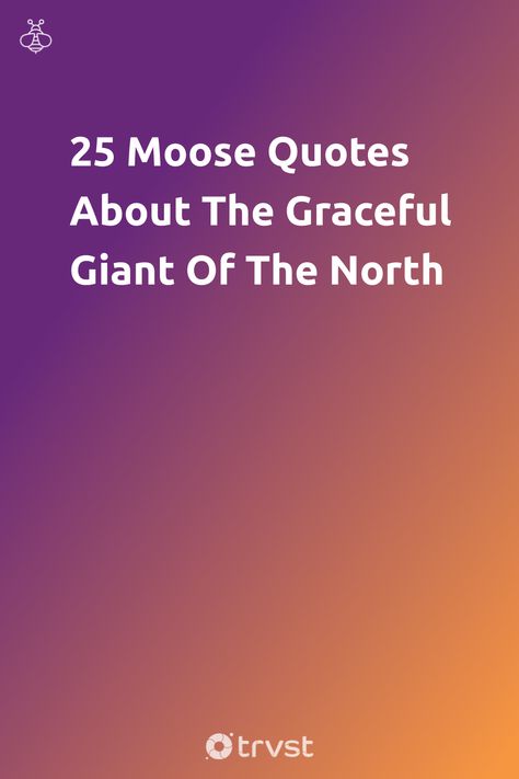 Immerse yourself in the world of the North's graceful giant through our selection of moose quotes. Appreciate their grandeur while gathering meaningful insights for life lessons. Let the wisdom of moose inspire and guide you! 🦌🌲 Click to explore! #MooseQuotes #NatureInspired #LifeLessons #WisdomOfNature #AnimalQuotes Moose Quotes, Protection Quotes, Funny Moose, Animals With Horns, Tick Bite, Cow Drawing, Tree Growth, Bull Moose, Habitat Destruction