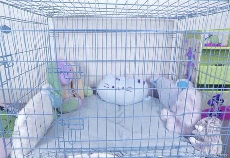 Petspace Puppy, Blue Puppycore, Puppy Play Gear, Pet Regressor Puppy, Puppyboy Aesthetic, Pup Play Aesthetic, Pet Regre, Puppycore Aesthetic, Age Reggresion Room