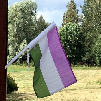 Genderqueer Aesthetic, Gender Queer Flag, Tmnt Au, Genderqueer Flag, Queer Pride Flag, Star Pasta, Flag Aesthetic, Gender Queer, Friends Goals