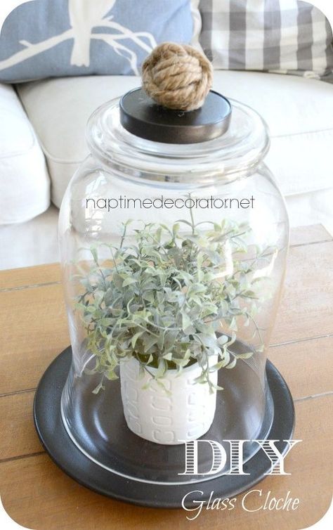 DIY Glass Cloche | Hometalk Cloche Decor, Garden Totem, Old Vases, Old Plates, Thrift Store Crafts, Glass Cloche, Beautiful Flowers Garden, Charming Garden, Garden Set