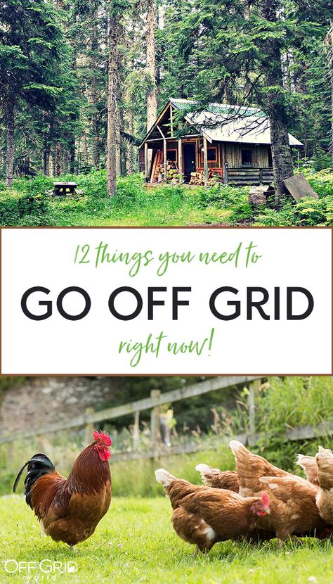 Go off grid Off Grid Farm, Off Grid House, Go Off, Off Grid Living, Off Grid, Off The Grid, Apothecary, Do You Need, Gardening Tips