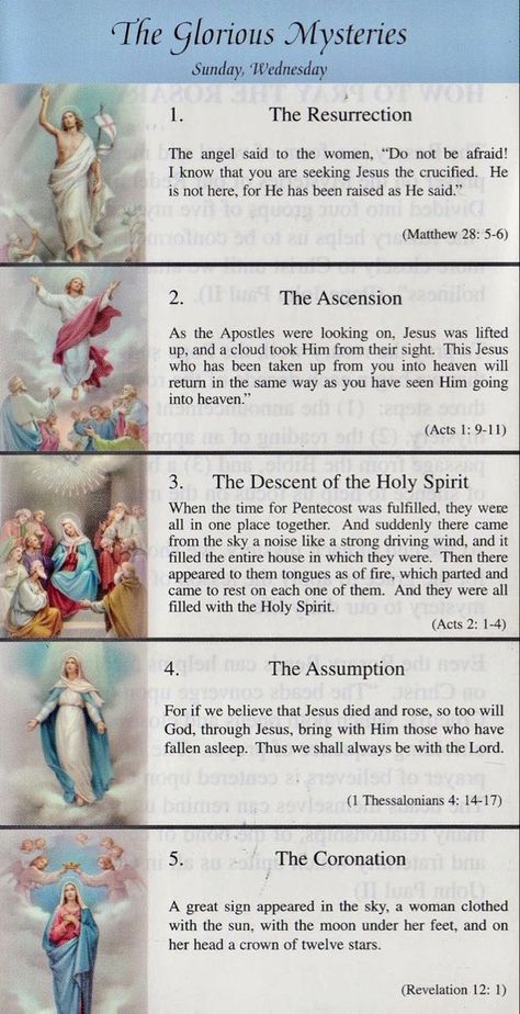 Rosary Guide, Praying The Rosary Catholic, Rosary Mysteries, Rosary Prayers Catholic, Catholic Prayers Daily, Catholic Beliefs, Novena Prayers, Rosary Prayer, Christian Quotes Prayer