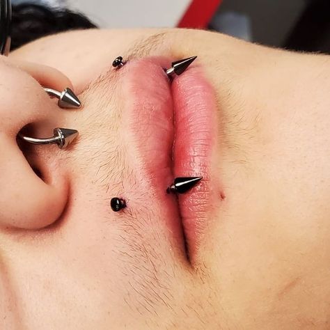 Vertical Angel Bites Piercing, Vampire Bites Piercing, Snake Bite Piercing Jewelry, Angel Bites Piercing Fangs, Fang Piercing, Vampire Piercing, Angel Fangs Piercing, Angel Fangs, Angel Bites Piercing