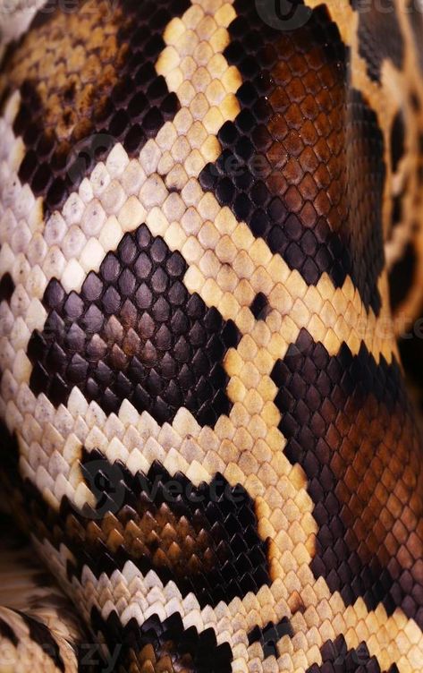 Textiles Inspiration, Scales Pattern, Reptile Skin, Afrique Art, Fur Texture, Art Textiles, Python Snake, Snake Art, Elements And Principles