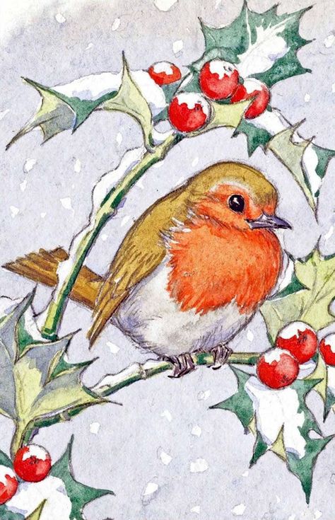 Christmas Scene Drawing, Robin Drawing, Holly Branch, Painted Christmas Cards, Robin Christmas, Christmas Drawings, Christmas Robin, Výtvarné Reference, Christmas Card Art