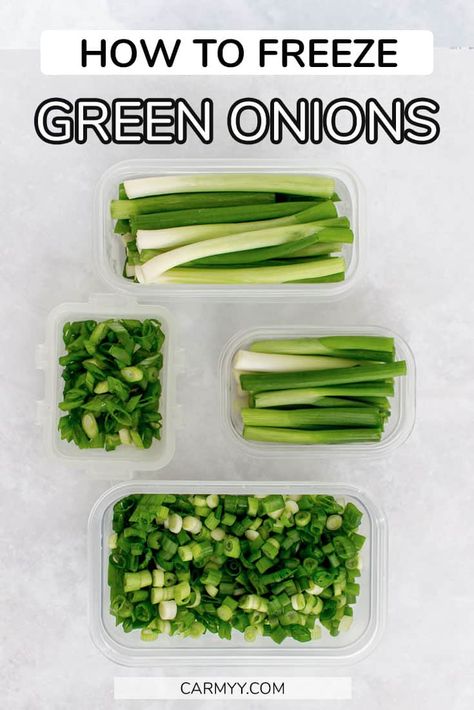 Got a bunch of green onions and can't use them all right away? Or want to have fresh green onions on hand at all time? Here's how to freeze green onions! How To Freeze Fresh Onions, Canning Green Onions, Freeze Vegetables How To, How To Preserve Fresh Green Onions, Things To Make With Green Onions, Green Onion Uses, Recipes That Use Green Onion, Freeze Onions How To, How To Use Green Onions