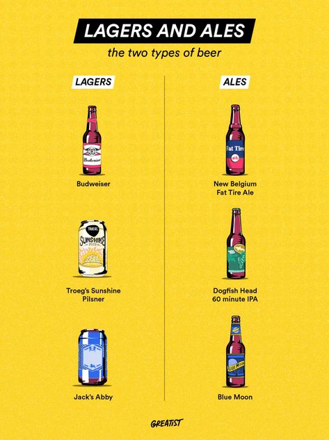 A Beginner’s Guide to Beer Pale Lager, Types Of Beer, Dogfish Head, Beer 101, Sour Beer, Wheat Beer, Beer Company, India Pale Ale, Delicious Drinks