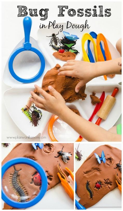 Bug Fossils, Play Dough Invitation, Bug Activities, Insects Preschool, Bugs Preschool, Playdough Activities, Playdough Kits, Invitation To Play, Aktivitas Montessori