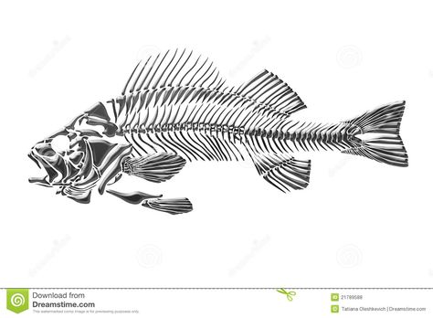 Skeleton Fish - Download From Over 26 Million High Quality Stock Photos, Images, Vectors. Sign up for FREE today. Image: 21789588 Skeleton Drawing Simple, Fish Skeleton Drawing, Skeleton Fish, Skeleton Drawing, Ink Link, Fish Skeleton, Skeleton Drawings, Fish Head, Fishing Decals