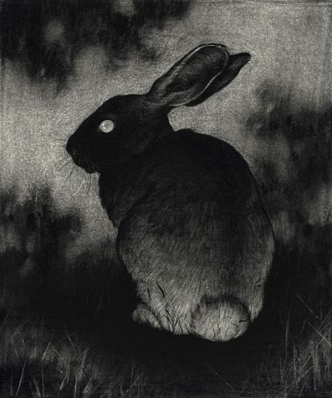 Rabbit Drawing, Black Bunny, Watership Down, Rabbit Painting, Bunny Drawing, Jack Rabbit, Rabbit Art, Bunny Art, Dark Art